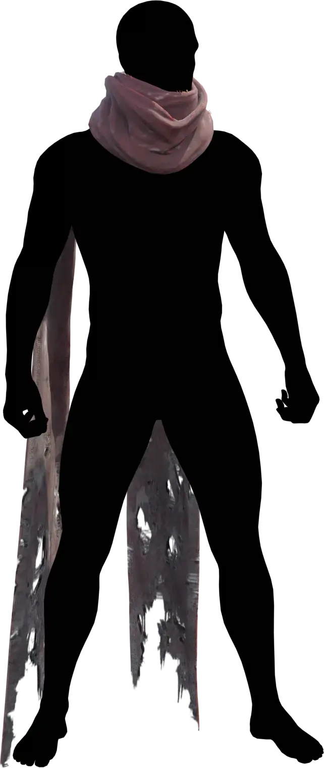 Sealed Dragon Cloth α armor set