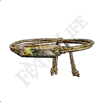 Fitness Charm I preview